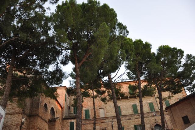 min 2010 08 01 ostra 100